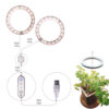 1621386979895.jpg LED Grow Light Full Spectrum Angel Ring Phyto Grow Lamp USB Phytolamp For Plants 5V Lamp Indoor Flower Greenhouse Plant Seedling