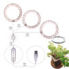 1621386979898.jpg LED Grow Light Full Spectrum Angel Ring Phyto Grow Lamp USB Phytolamp For Plants 5V Lamp Indoor Flower Greenhouse Plant Seedling
