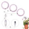 1621386979899.jpg LED Grow Light Full Spectrum Angel Ring Phyto Grow Lamp USB Phytolamp For Plants 5V Lamp Indoor Flower Greenhouse Plant Seedling