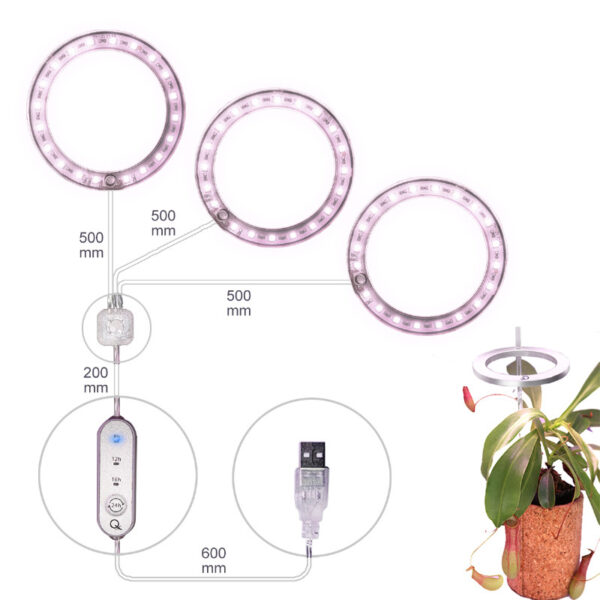 1621386979899.jpg LED Grow Light Full Spectrum Angel Ring Phyto Grow Lamp USB Phytolamp For Plants 5V Lamp Indoor Flower Greenhouse Plant Seedling