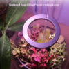 27b6518a-b88d-46ad-86da-cbd2709cd336.jpg LED Grow Light Full Spectrum Angel Ring Phyto Grow Lamp USB Phytolamp For Plants 5V Lamp Indoor Flower Greenhouse Plant Seedling