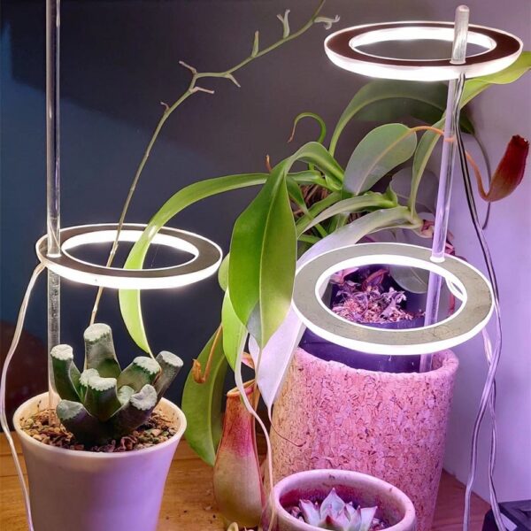 498847c6-64ac-491b-b83d-93f4673cd512.jpg LED Grow Light Full Spectrum Angel Ring Phyto Grow Lamp USB Phytolamp For Plants 5V Lamp Indoor Flower Greenhouse Plant Seedling