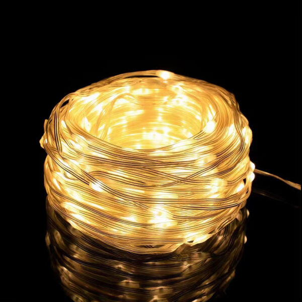 Christmas LED Leather Wire Light String Low Voltage 24v Light String Solar Light String Home Decor