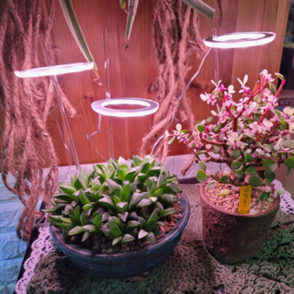 cc498ae2-8ac8-42fa-b41a-9918bfc883b1.jpg LED Grow Light Full Spectrum Angel Ring Phyto Grow Lamp USB Phytolamp For Plants 5V Lamp Indoor Flower Greenhouse Plant Seedling